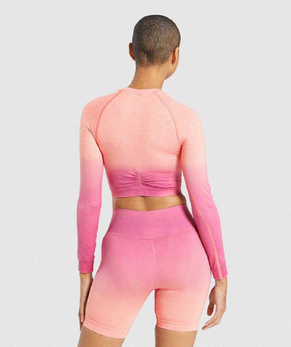 Gymshark Adapt Ombre Seamless Ženske Dugi Rukav Narančaste Roze | HR 3487JPQ